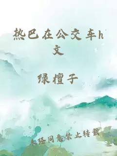 热巴在公交车h文