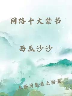 网络十大禁书