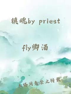 镇魂by priest