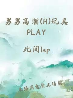 男男高潮(H)玩具PLAY