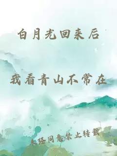 白月光回来后