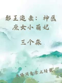 邪王追妻：神医庶女小萌妃