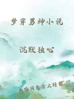 梦穿男神小说