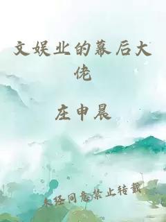 文娱业的幕后大佬