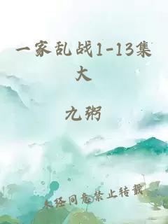 一家乱战1-13集大