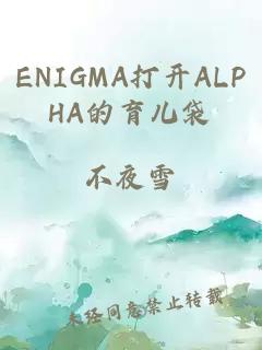 ENIGMA打开ALPHA的育儿袋