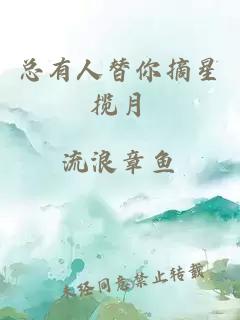 总有人替你摘星揽月