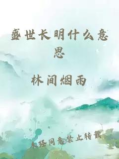 盛世长明什么意思