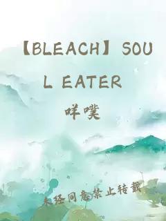 【BLEACH】SOUL EATER