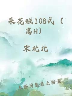 采花贼108式（高H）