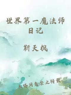 世界第一魔法师日记