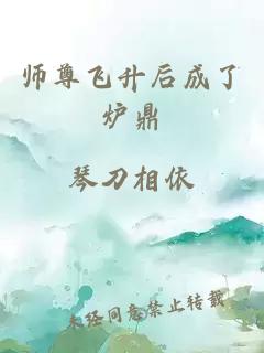 师尊飞升后成了炉鼎