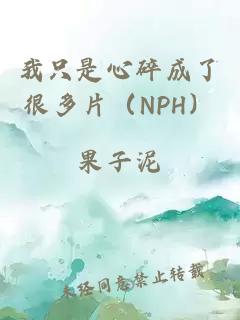 我只是心碎成了很多片（NPH）