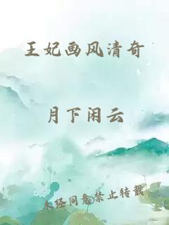 王妃画风清奇