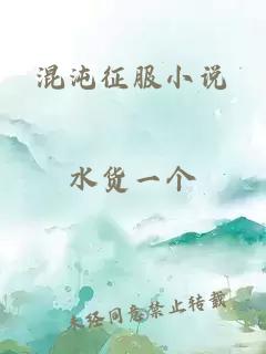 混沌征服小说