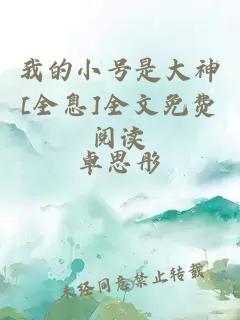 我的小号是大神[全息]全文免费阅读