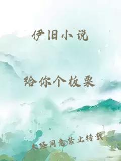 伊旧小说