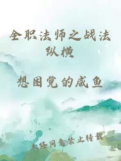 全职法师之战法纵横