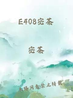 E408宓茶