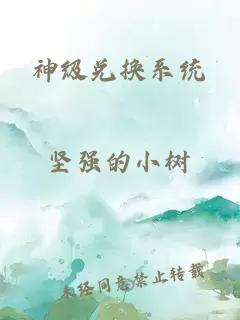 神级兑换系统