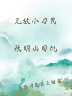 无敌小刁民